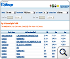 Interface Traffic Reports