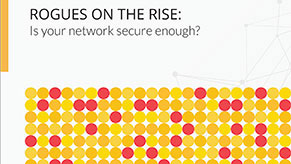 Rogues on the rise: Is your network secure enough?