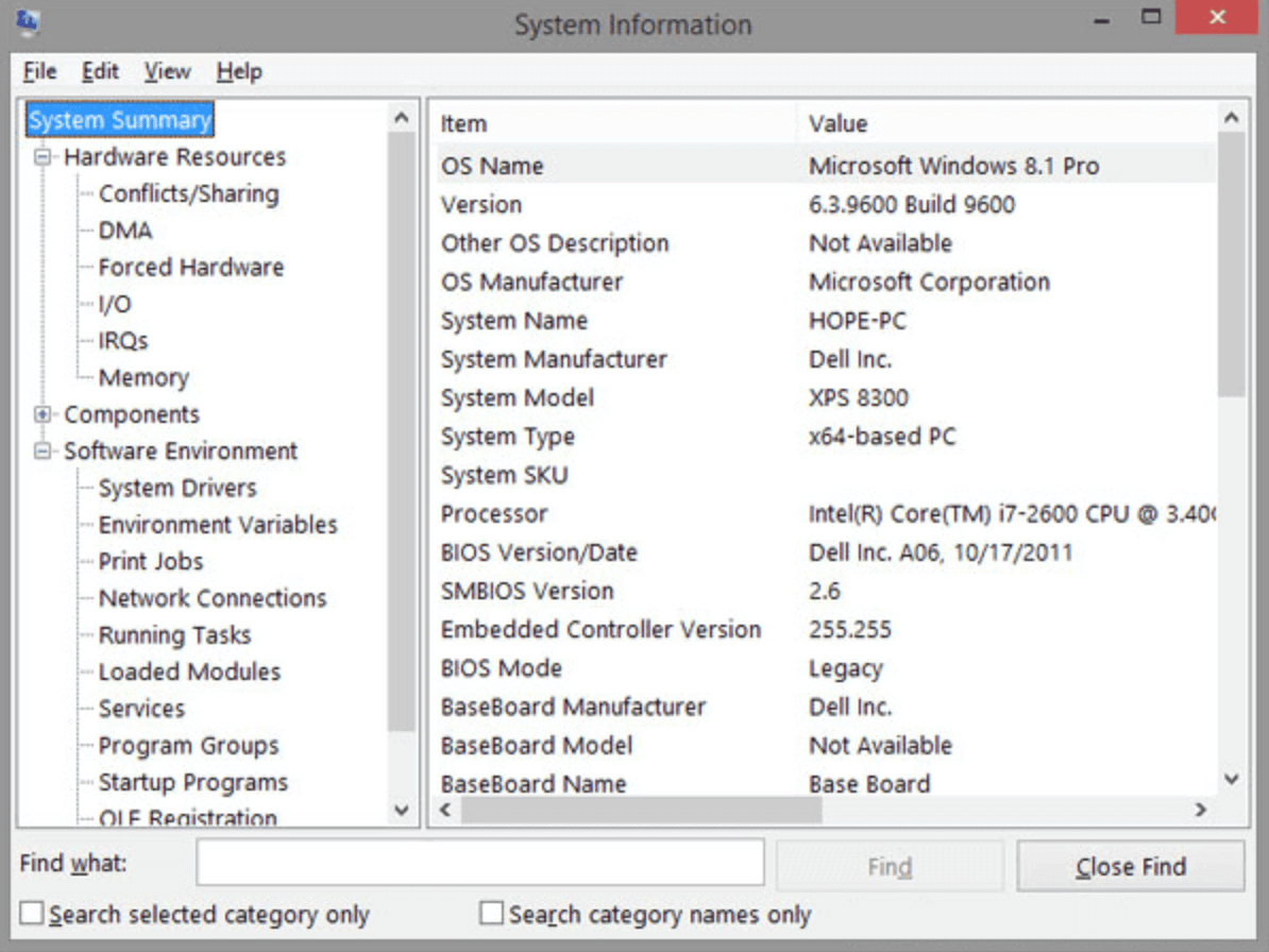 Finding the BIOS version