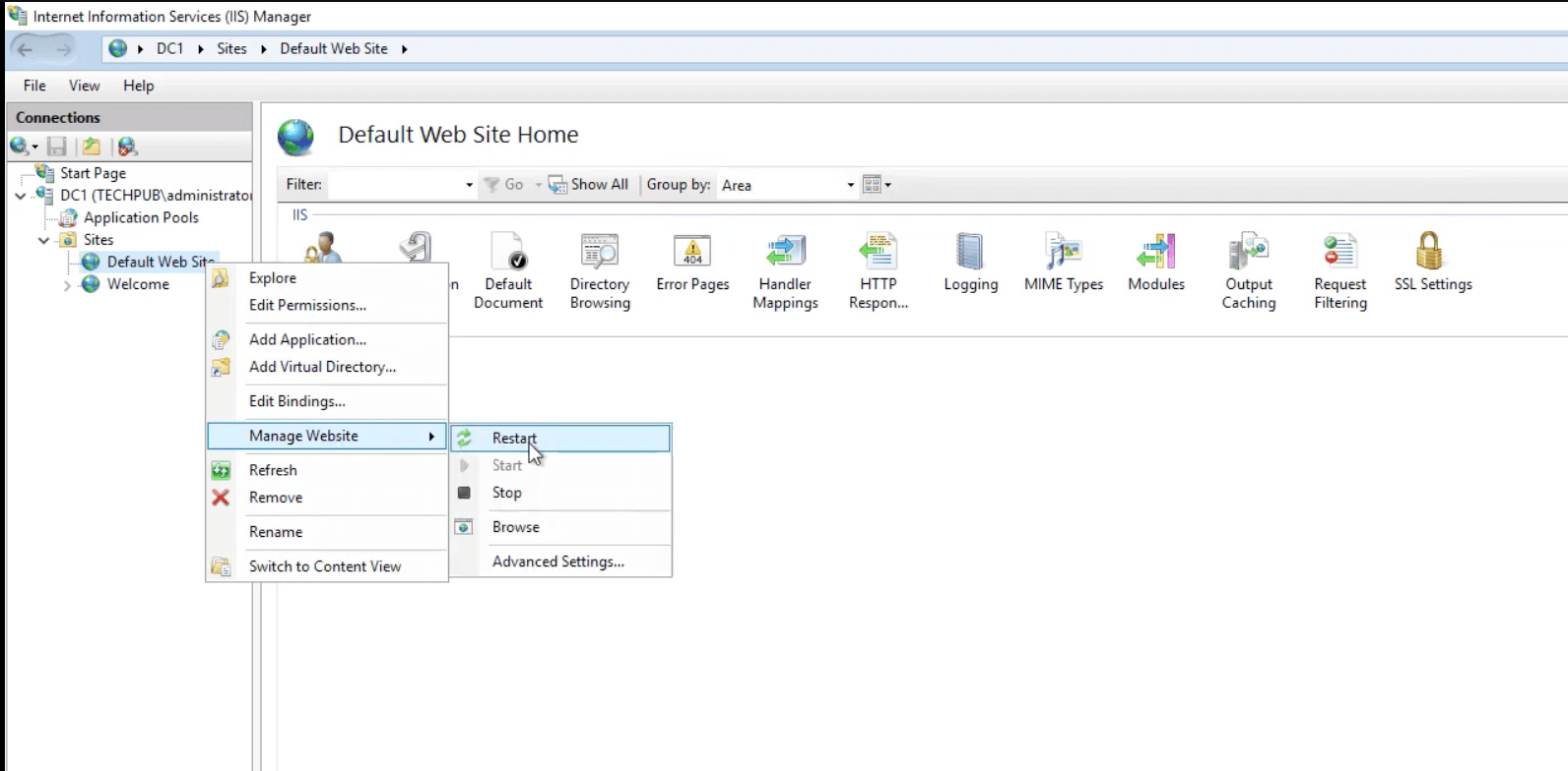 Reset IIS using IIS Manager