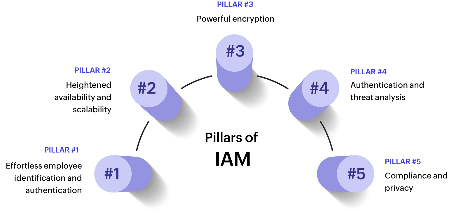 Illustration of Five pillars of IAM. Pillars form the foundation of effective IAM