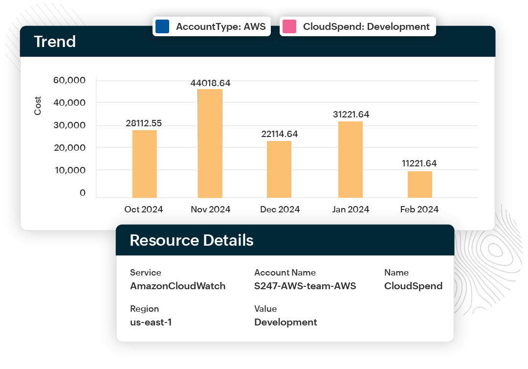 Cost insights