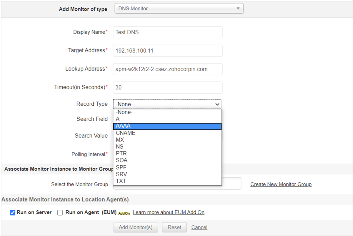 DNS Monitoring - ManageEngine Applications Manager