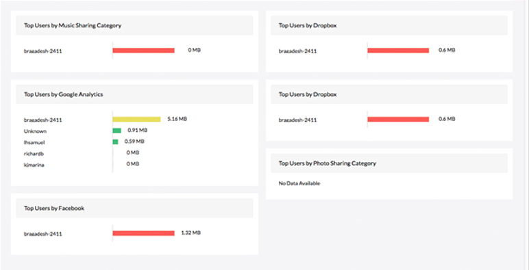 Employee Internet Usage Monitoring