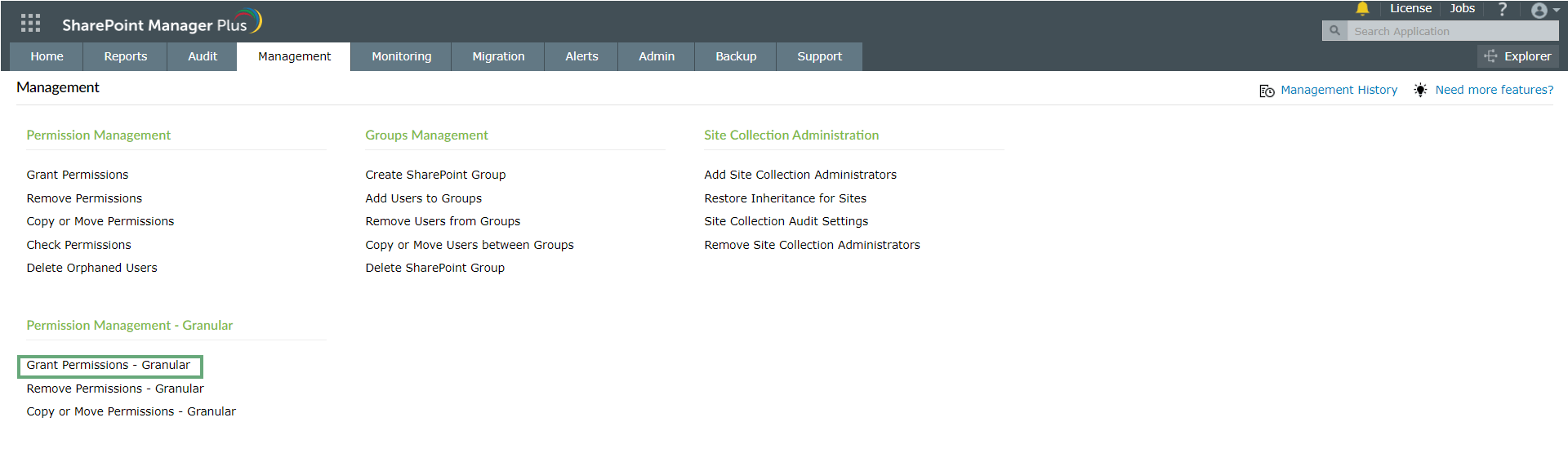 grant-permission-granular
