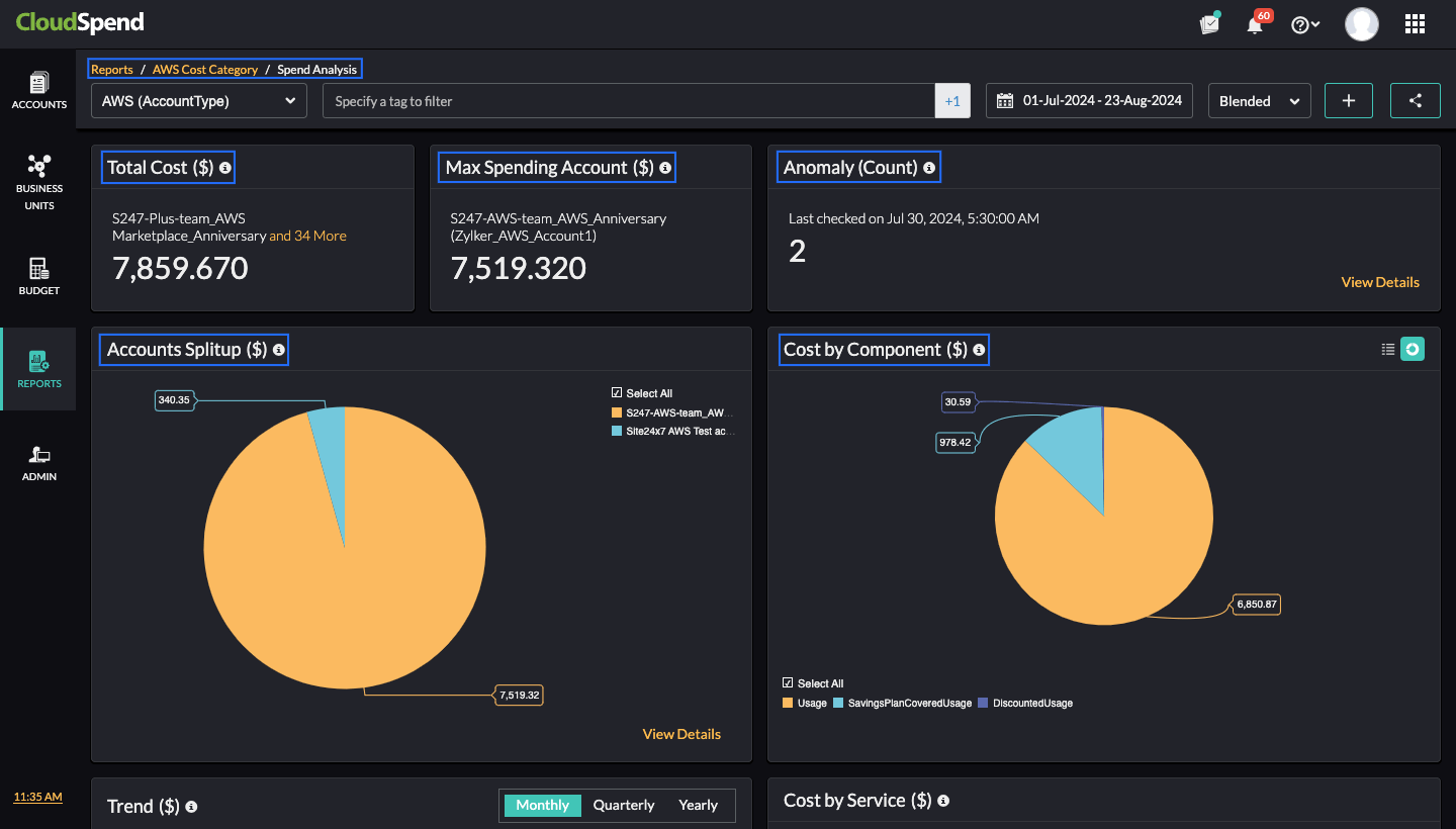 Cost Category Spend Analysis