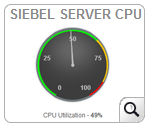 Siebel Server Pool View