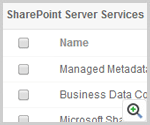 Sharepoint Server Services