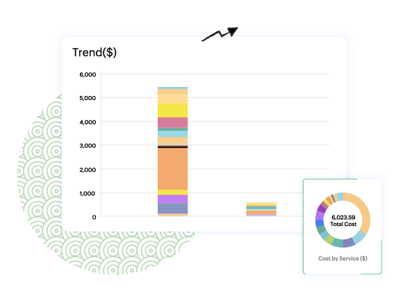 Cloud cost management - Track accruing costs