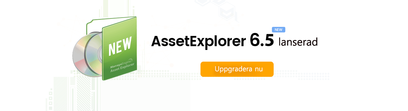 ManageEngine AssetExplorer 6.2 lanserad