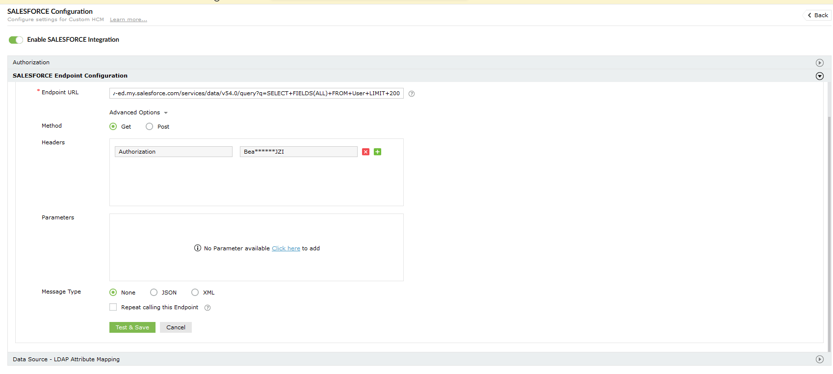 SalesForce Configuration