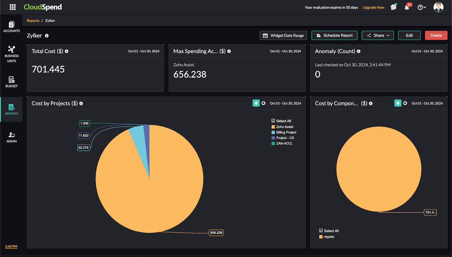 CS Custom Reports