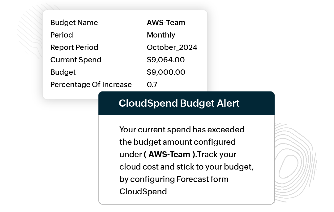 Budget alerts