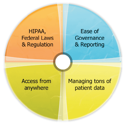 Prime Healthcare IT Drivers